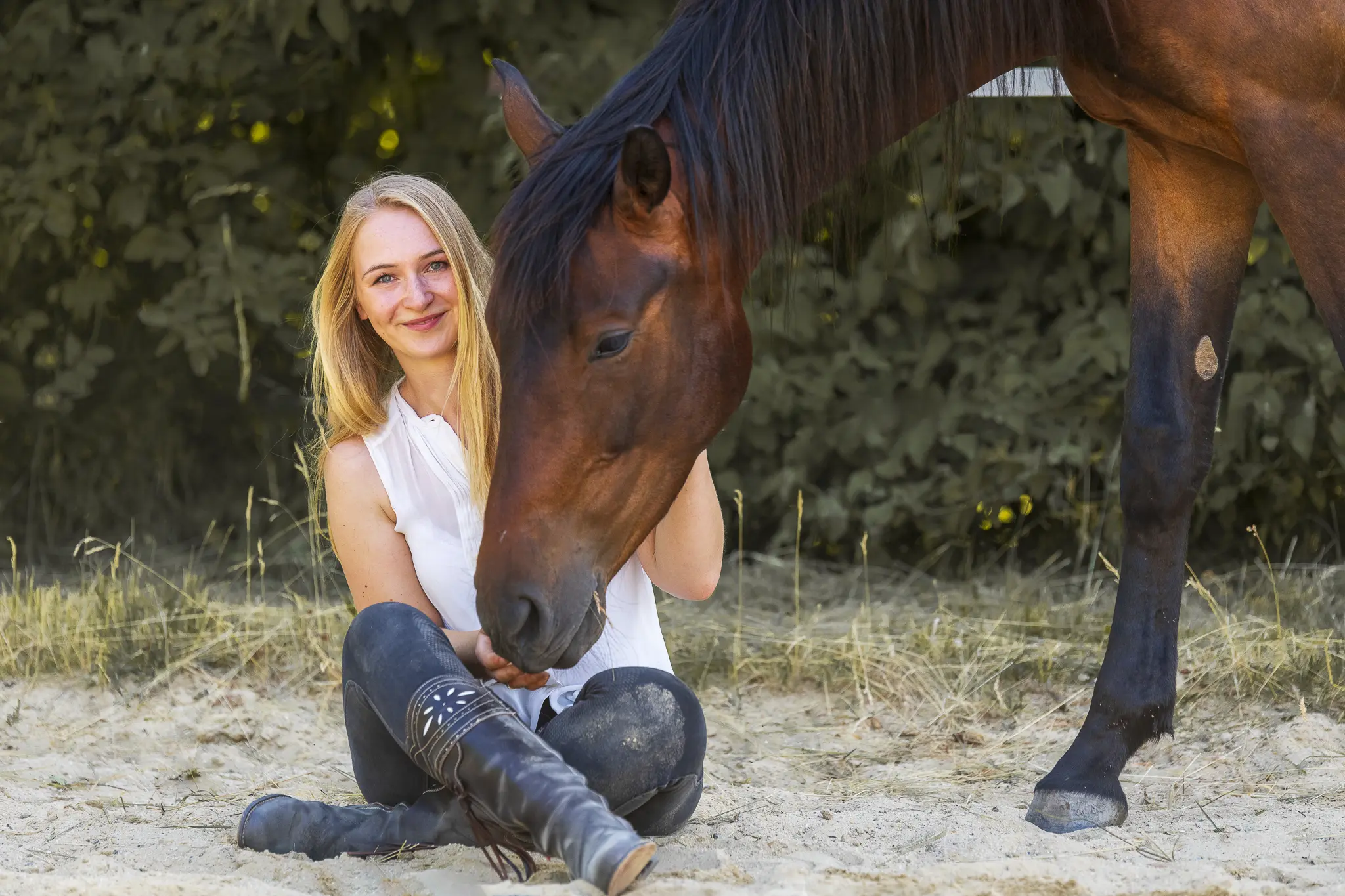 Pferdefotografie: Ein erlebnisreicher Tag mit Taron, dem jungen Oldenburger