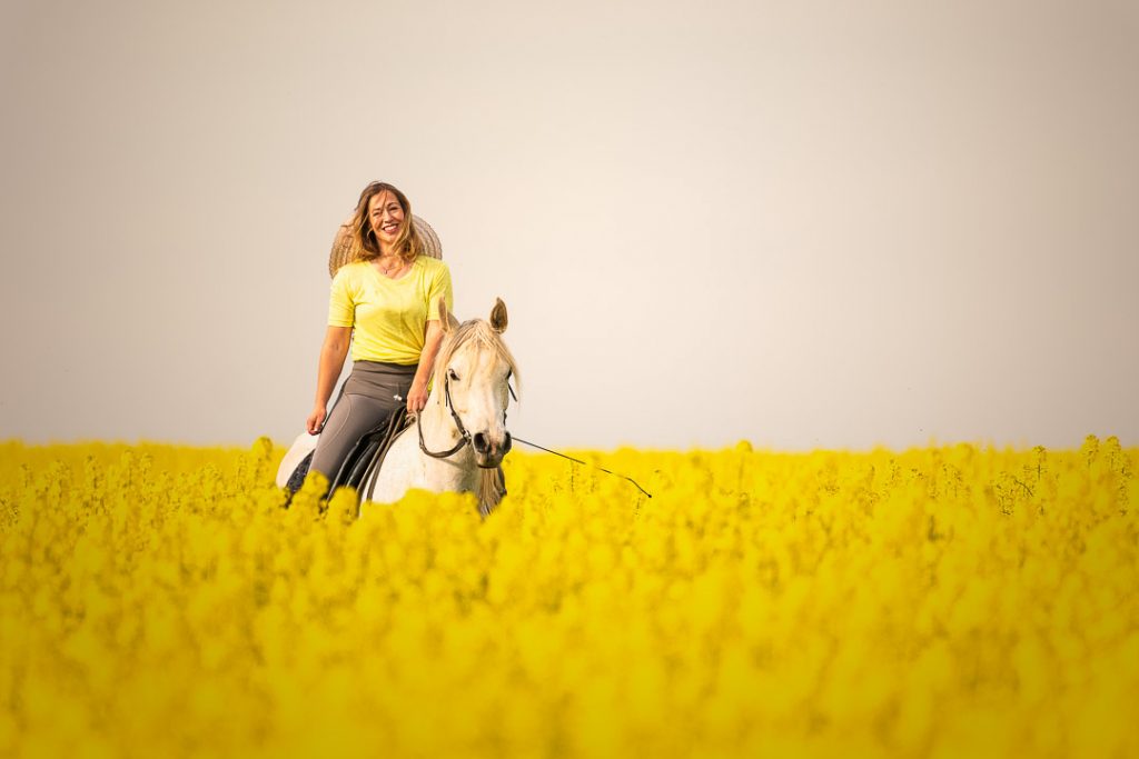 Pferdeshooting im Rapsfeld, Schimmel und Reiterin im gelben Blütenmeer bei weichem Licht.