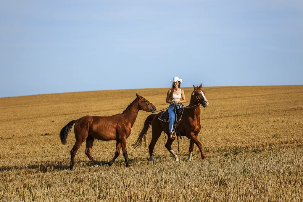 Eine Frau im Westernreit-Stil mit Hut reitet auf einem Fuchs (braunes Pferd) über ein weites, goldenes Stoppelfeld unter klarem blauem Himmel. Sie führt ein zweites, junges Pferd (Absetzer/Fohlen) als Handpferd neben sich her. Die Szene strahlt sommerliche Freiheit und Lebensfreude aus. Professionelle Pferdefotografie im Western-Stil, aufgenommen von René Hering im Raum Frankfurt/Wiesbaden.