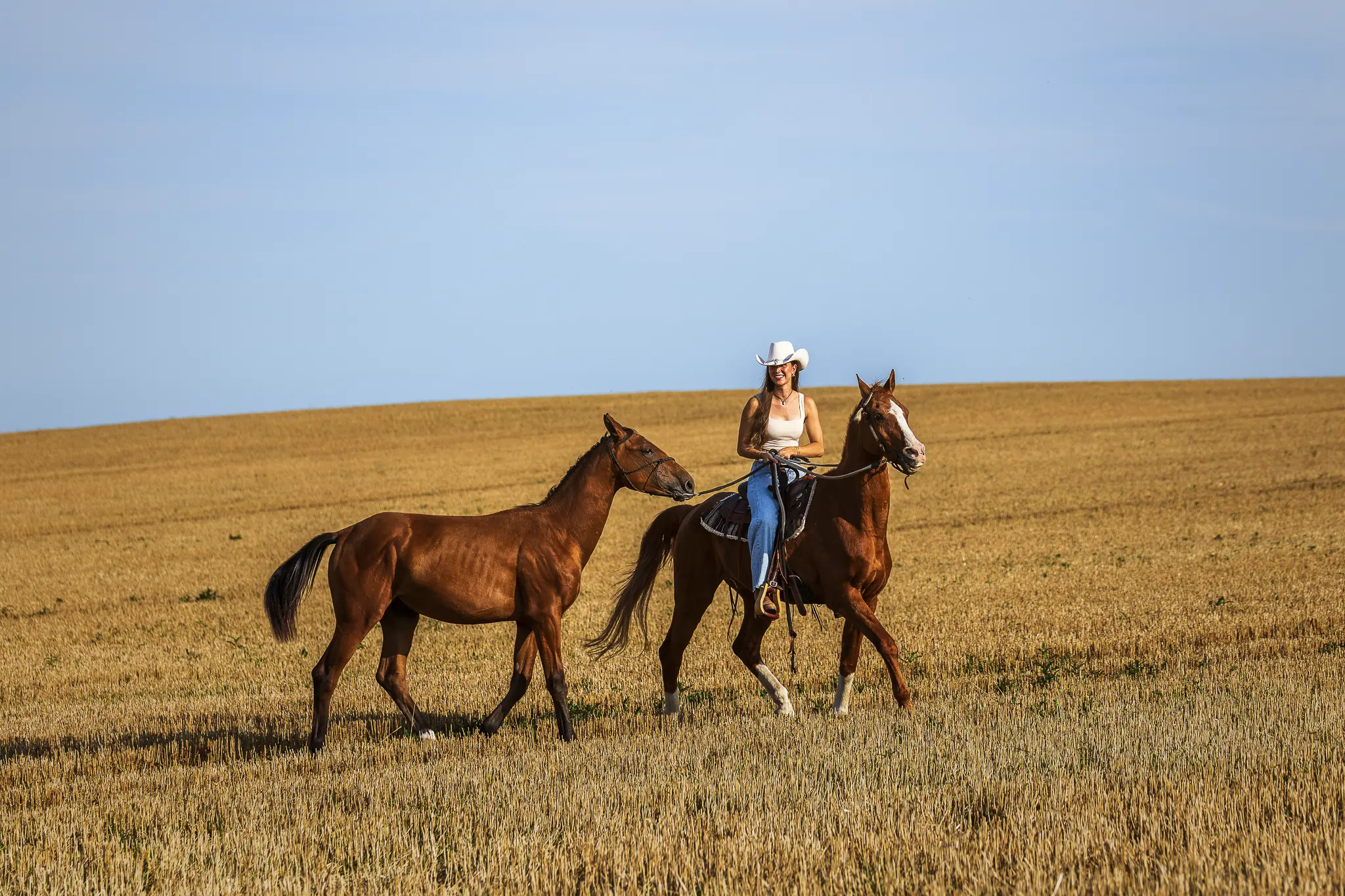 Eine Frau im Westernreit-Stil mit Hut reitet auf einem Fuchs (braunes Pferd) über ein weites, goldenes Stoppelfeld unter klarem blauem Himmel. Sie führt ein zweites, junges Pferd (Absetzer/Fohlen) als Handpferd neben sich her. Die Szene strahlt sommerliche Freiheit und Lebensfreude aus. Professionelle Pferdefotografie im Western-Stil, aufgenommen von René Hering im Raum Frankfurt/Wiesbaden.