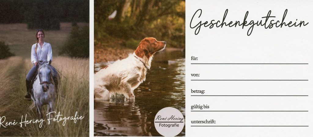 Geschenkgutschein für René Hering Fotografie mit Beispielfotos eines Pferdefotoshooting und Hundefotoshooting im Wasser.
