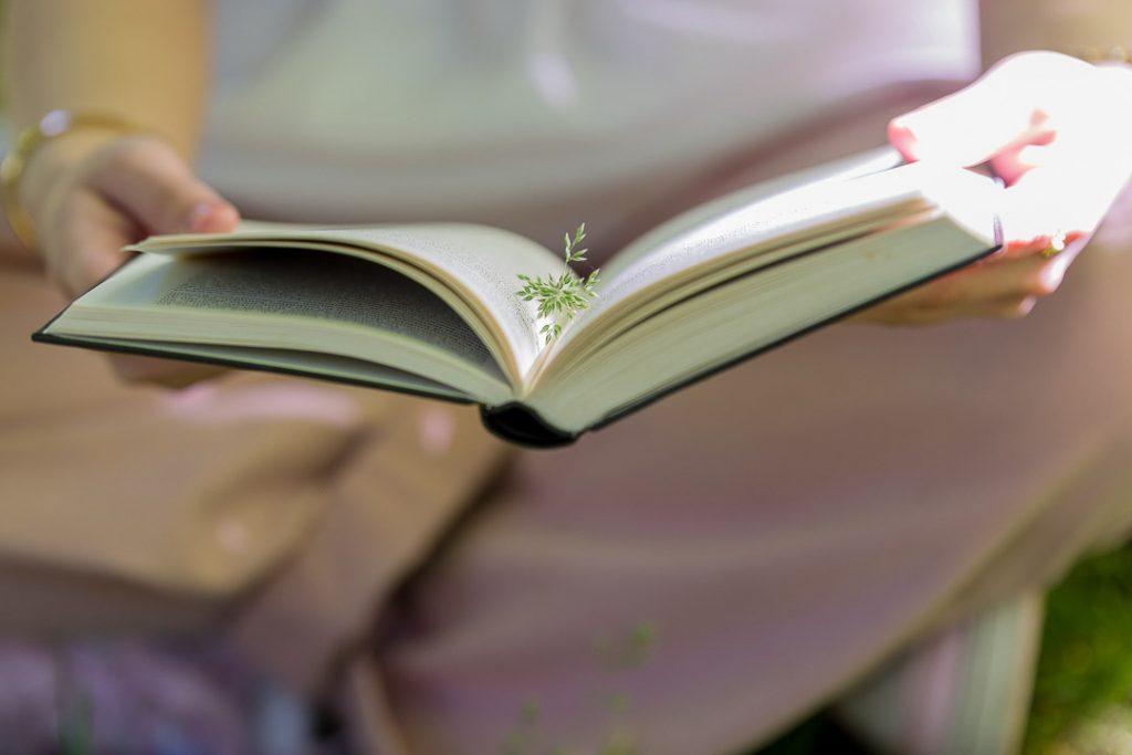 Nahaufnahme eines aufgeschlagenen Buches mit einer kleinen Pflanze zwischen den Seiten, gehalten von einer Person im Sonnenlicht.