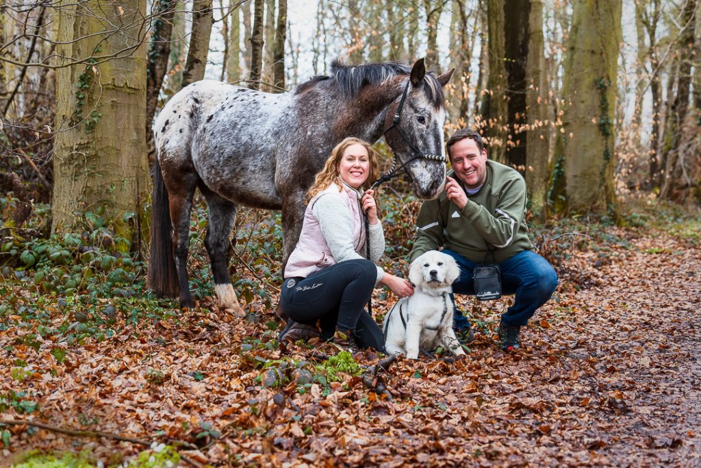 Ein Paar sitzt lächelnd auf einem Waldweg mit einem gefleckten Pferd und einem weißen Hundewelpen im herbstlichen Laub.